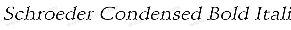Schroeder Condensed Bold Italic字体转换